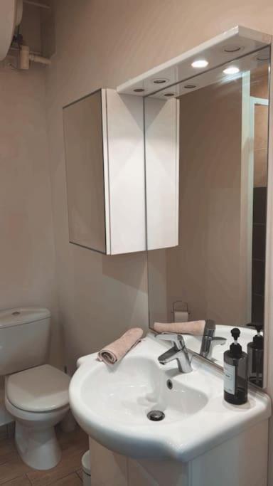 Beautiful F2 Apartment 5 Stops By Train From Paris Moret-sur-Loing Buitenkant foto