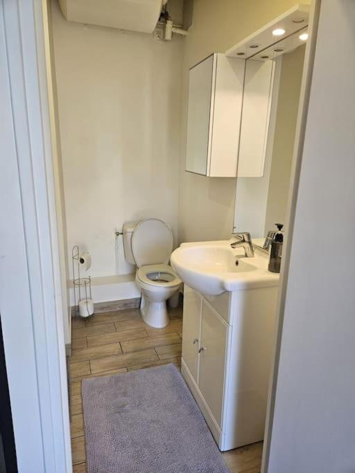 Beautiful F2 Apartment 5 Stops By Train From Paris Moret-sur-Loing Buitenkant foto